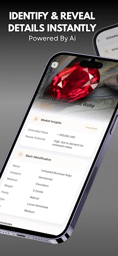 I-download ang Jewelry Identifier – Tukuyin ang Gemstone nang Libre - Screenshot 2
