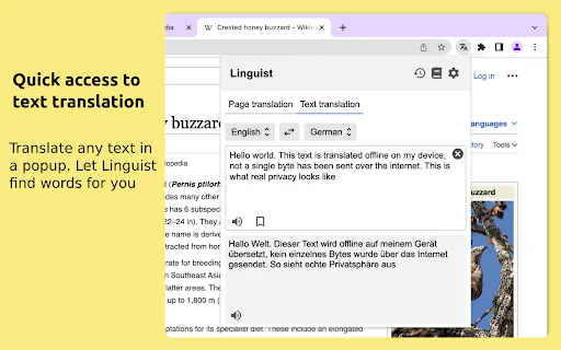 Linguist: Pinakamabilis na Web Page Translator – I-download Ngayon - Screenshot 3